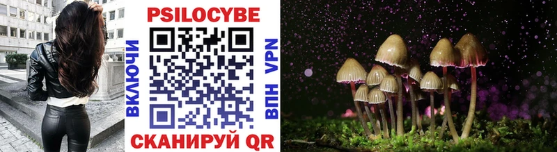 Купить  Змеиногорск  Галлюциногенные грибы ЛСД 