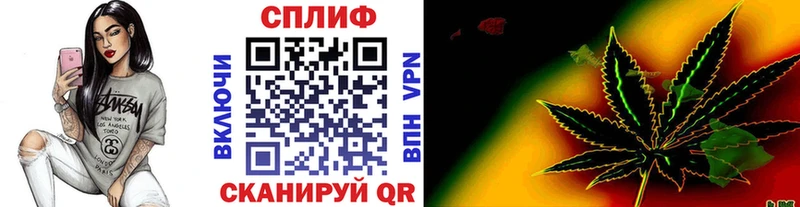 Купить закладки  Змеиногорск  Конопля ГИДРОПОН 